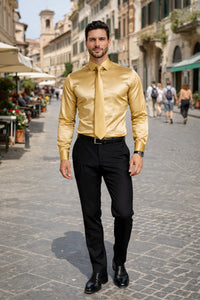 Shiny Satin With Tie And Handkerchief Set Multi-Color Men's Dress Shirt