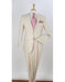 Men's Natural 2 Piece Side Vents Two Buttons Regular Fit Linen Suit - Mens Linen Suit