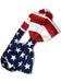 Men's White/Red/Blue Polyester American Flag USA Patriotic Bowtie