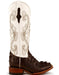 Ferrini Women's Rancher Square Toe Boots Crocodile Print - Chocolate and White