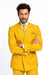 ROSSI MAN MILANO RM1772