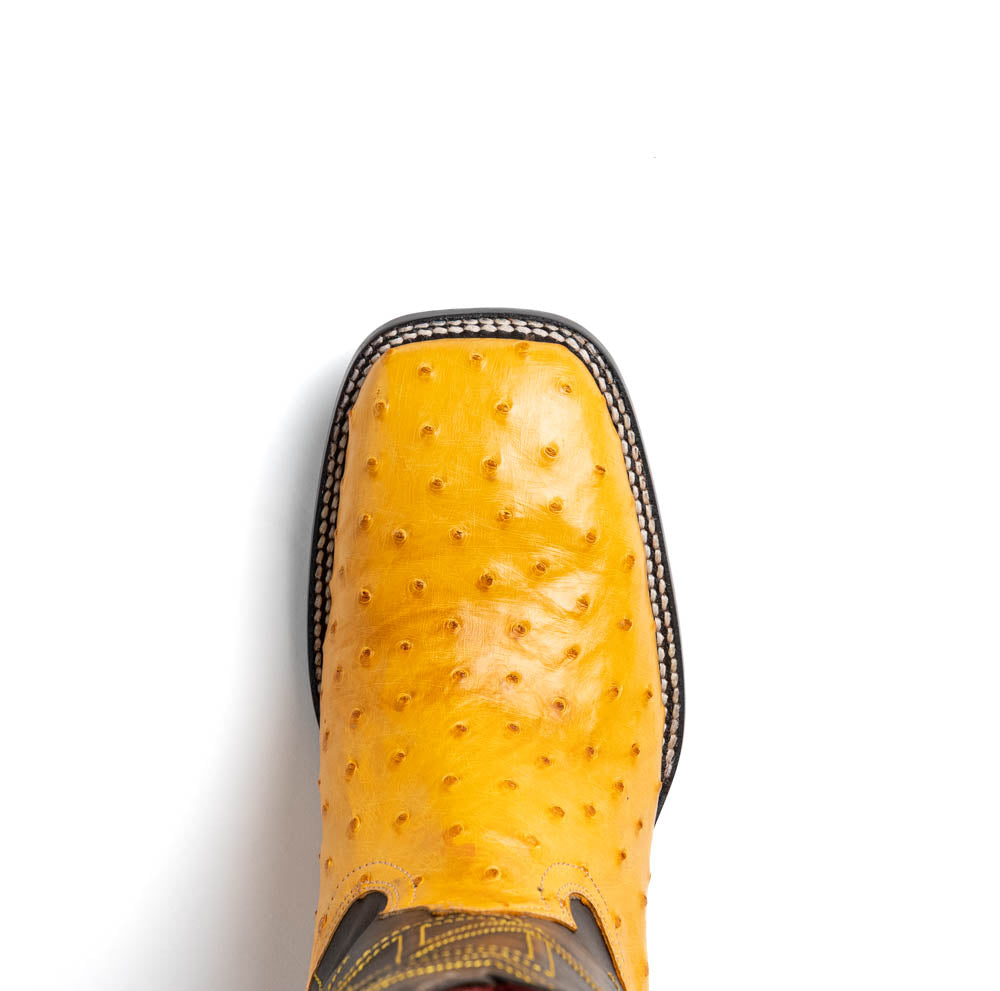Marco Di Milano Alabama Buttercup Ostrich Quill Square Toe Cowboy Boots - Image 4