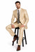 Beige ~ Khaki ~ Tan ~ Champagne Suit Shiny Flashy Sharkskin Classic Fit Suit