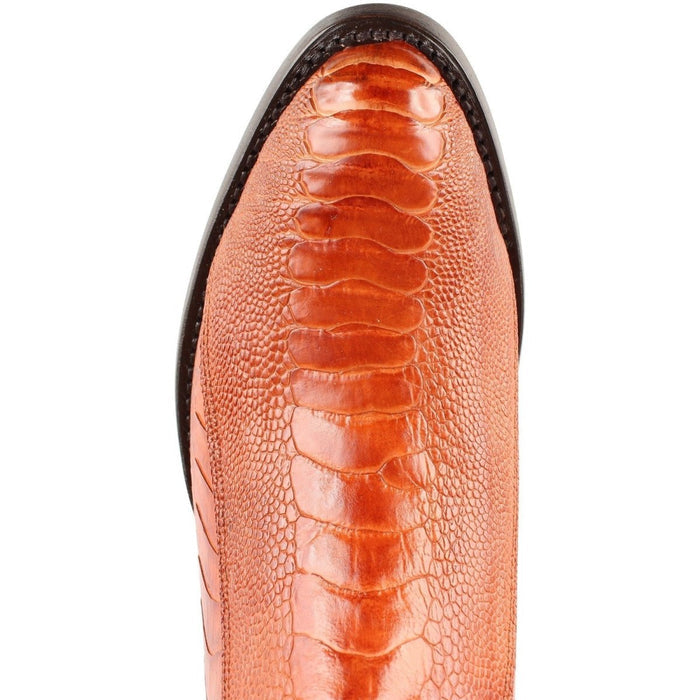 Botas de Avestruz Original Horma Roper Color Miel LAB - Image 4