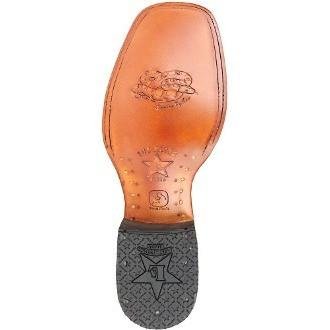 Botas de Piton Original Horma Ranchera LAB