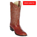 Botas de Anguila Original Horma Redonda LAB-650803