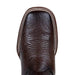 Botas de Avestruz Panza Suave Horma Cuadrada Ancha Cafe LAB