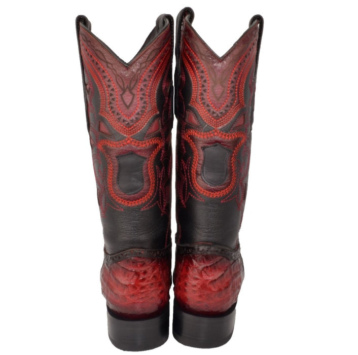 Botas de Cocodrilo Caiman Panza Horma Europea LAB - Image 9