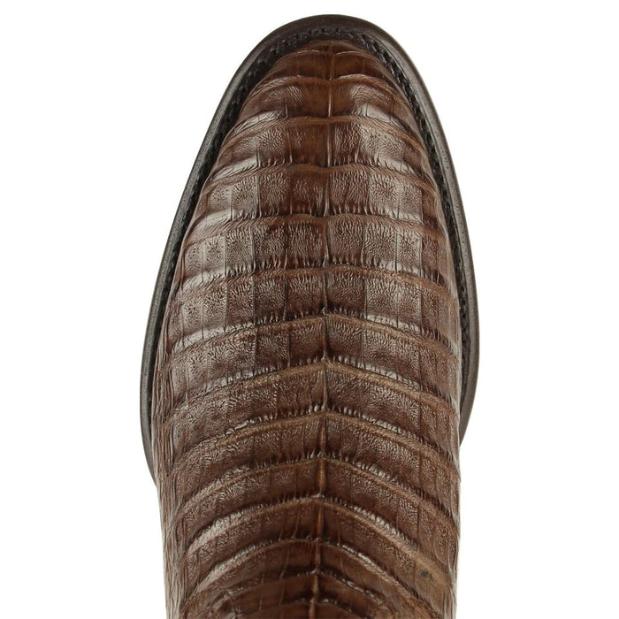 Botas de Cocodrilo Caiman Panza Roper Color Cafe LAB - Image 3