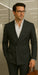 Wool Suit - Italian Made Business Suit by Statement Men's 100% Wool 2 Piece Double Breasted Suit - Subtle Windowpane