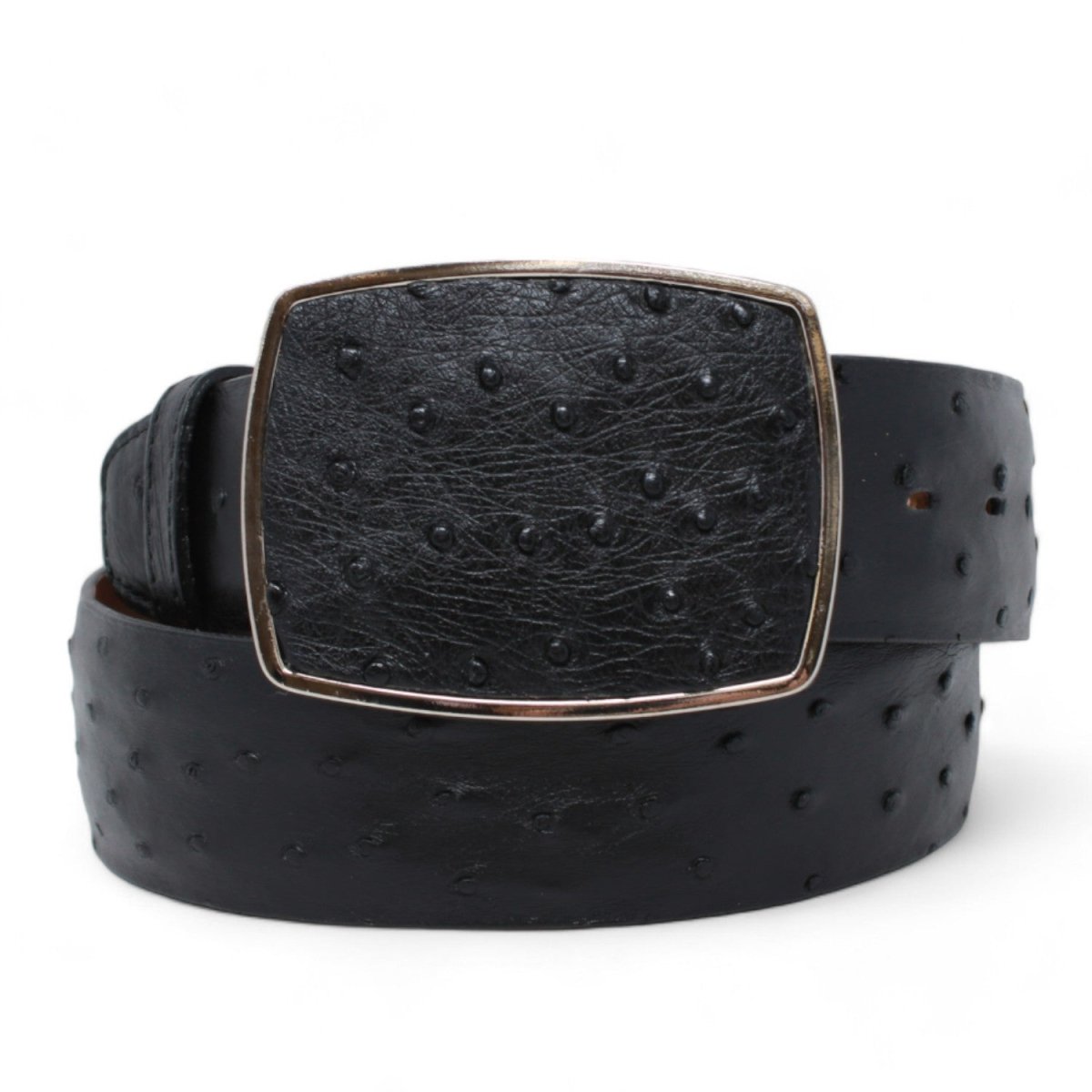 Cinto De Avestruz - Cinto Vaquero All-Over Genuine Ostrich Baby Blue Belt