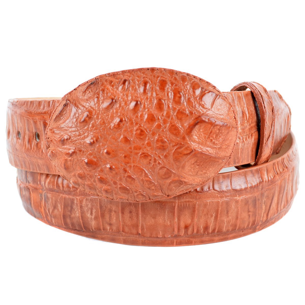 Cinto Caiman Panza Vaquero