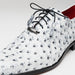 Marco Di Milano Criss Newspaper Ostrich Quill Dress Shoe Oxfords