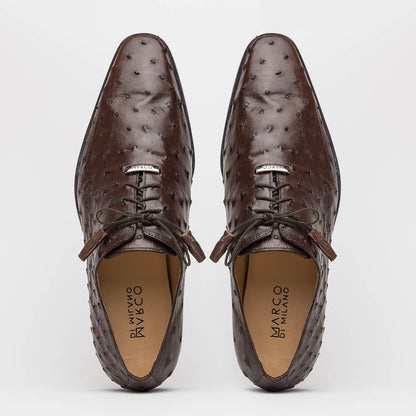 Marco Di Milano Criss Ostrich Quill Dress Oxfords Brown