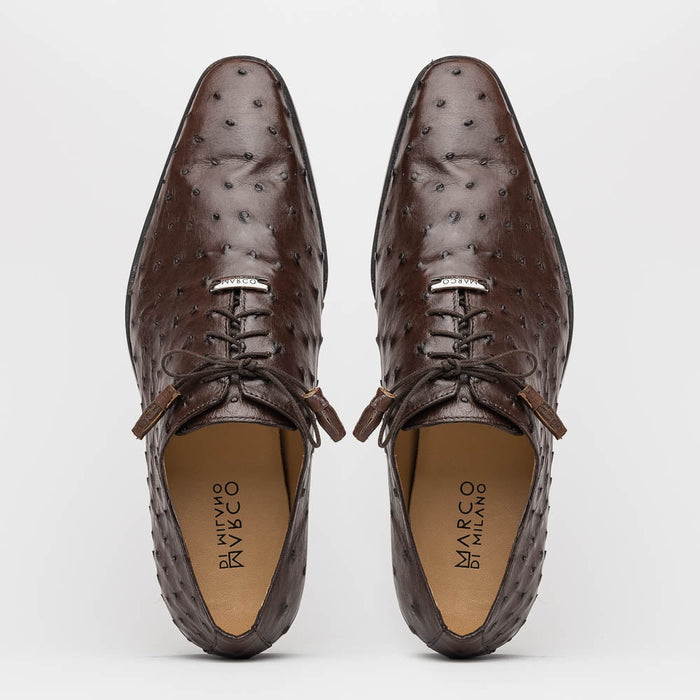 Marco Di Milano Criss Ostrich Quill Dress Oxfords Brown