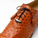Marco Di Milano Criss Brandy Ostrich Quill Dress Shoe Oxfords