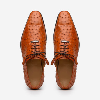 Marco Di Milano Criss Ostrich Quill Dress Oxfords Brandy