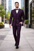 Men'S Plum ~ Eggplant ~ Very Dark Purple No Vest Suit