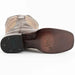 Men's Exotic Sneakers Alligator Sneakers by Brand in Color Chocolate