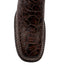 Ferrini Women's Kai Square Toe Boots Turtle Print - Chocolate