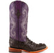 Ferrini Women's Rancher Square Toe Boots Crocodile Print - Black/Purple 9049304