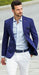 Blue Groom and Groomsmen Wedding Attire