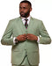 Men's Grass  2 Button Sharkskin Mini Pin Dot Pattern With Settle Sheen Suit