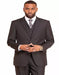 Men's Black 2 Button  Sharkskin Mini Pin Dot Pattern With Settle Sheen Suit