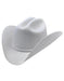 BEAVER FELT Castor (made from felted beaver fur) Los Altos Hats-Valentin Style Cowboy Hat 10x Available Los Altos Hats