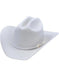 BEAVER FELT Castor (made from felted beaver fur) Los Altos Hats-Valentin Style Cowboy Hat 10x Available Los Altos Hats