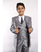 Suit For Teenager Silver w/ White Shirts