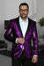 Mardi Gras Suit - Purple