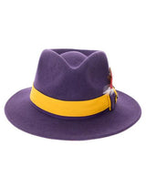 Mens Hat in Purple and Gold
