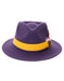 Mens Hat in Purple and Gold