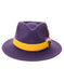 Mens Hat in Purple and Gold