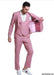 Mens Mauve Suit