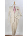 Natural Big and Tall Linen Suit