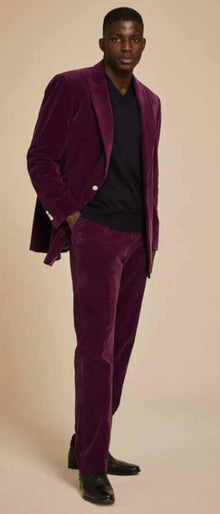 Mens Velvet Suit