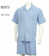 Mens 2-piece Spring - Summer Casual Short Sleeve Shirt Set - Walking Suit - Blue