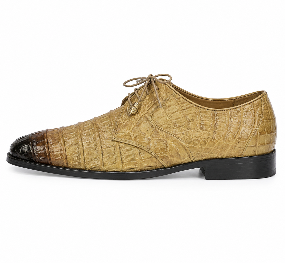 Los Altos Oryx and Black Shaded All Over Genuine Hornback Crocodile ~ World Best Alligator ~ Gator Skin