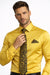 Gold Colorful Men'S Dress Shirt
