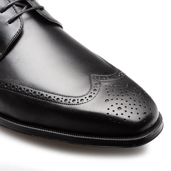 Mezlan Tasso Wing Tip Derby