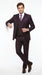 Men’s Very Dark Purple Plum Eggplant 3 Piece Suit, Classic Vested 2 Button Wedding Business Suit Set