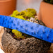 Marco Di Milano Domenico Belt Electric Blue