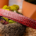 Marco Di Milano Emilio Belt Antique Red