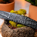 Marco Di Milano Riccardo Belt Gray