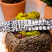 Marco Di Milano Silvio Belt Antique Newspaper
