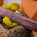 Marco Di Milano Silvio Belt Wine