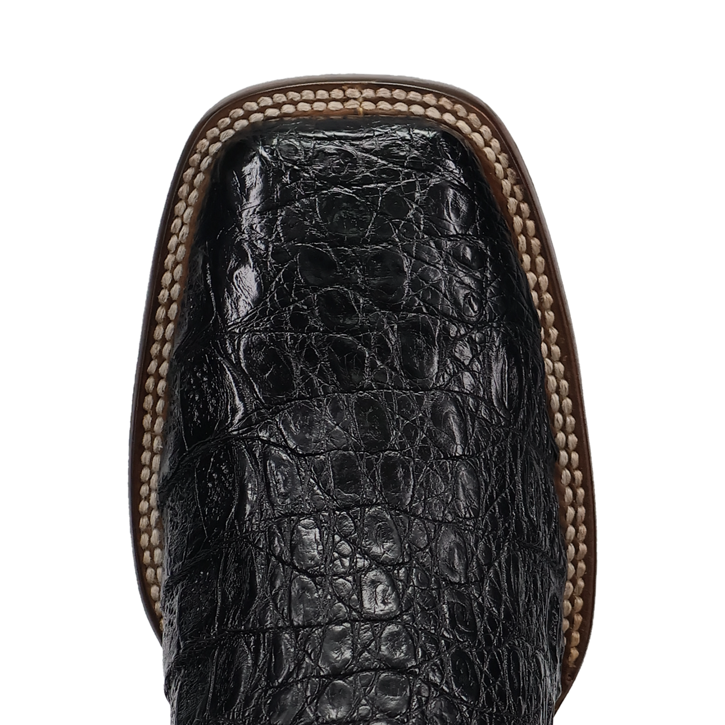 Dan Post Marsh Caiman Boot - Luxury Exotic Leather Western