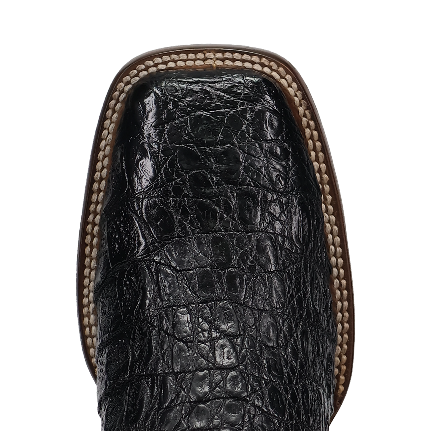 Dan Post Marsh Caiman Boot - Luxury Exotic Leather Western